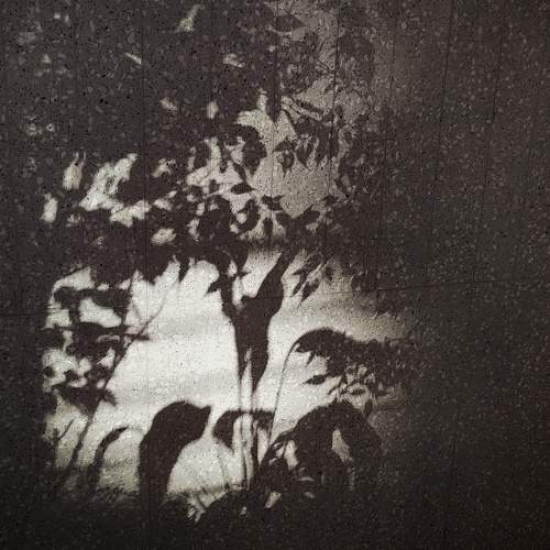Photo #10978257