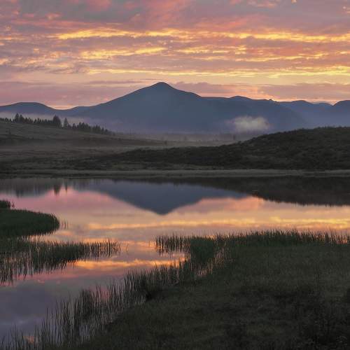 Photo #10978382