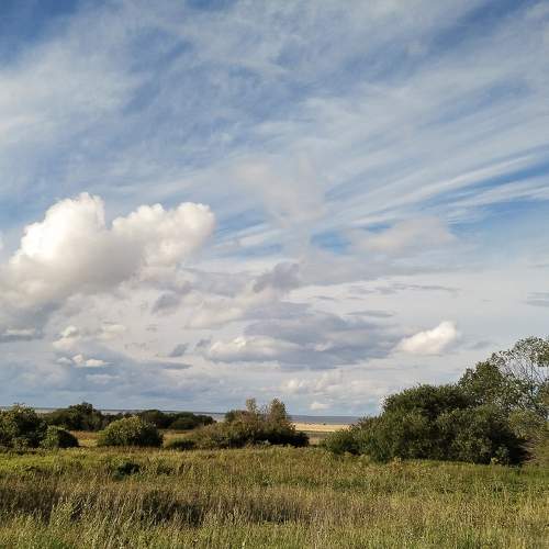 Photo #10978385
