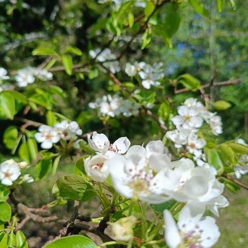 Photo #10978887