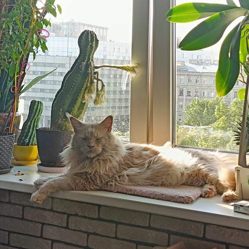 Photo #10978897