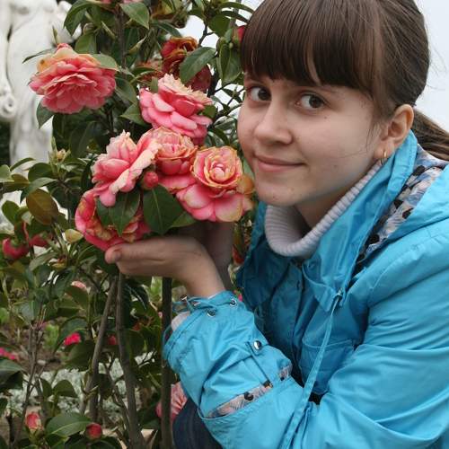 Photo #10978946