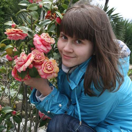 Photo #10978954