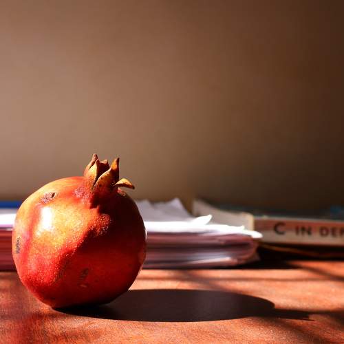 Photo #10979010