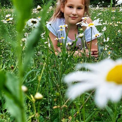Photo #10979067