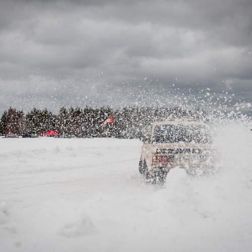 Photo #10980082