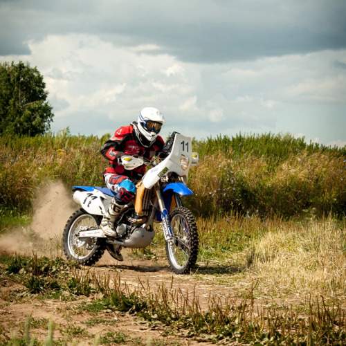 Photo #10980084