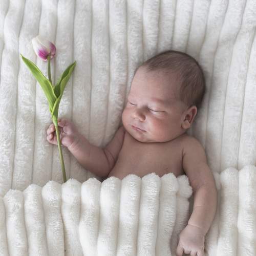 Photo #10980511