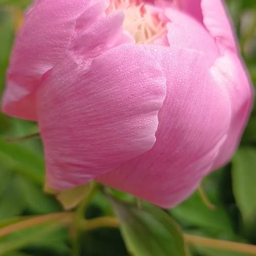 Photo #10980789