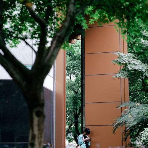 Photo #10981142