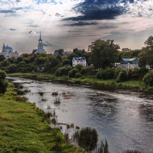 Photo #10981528