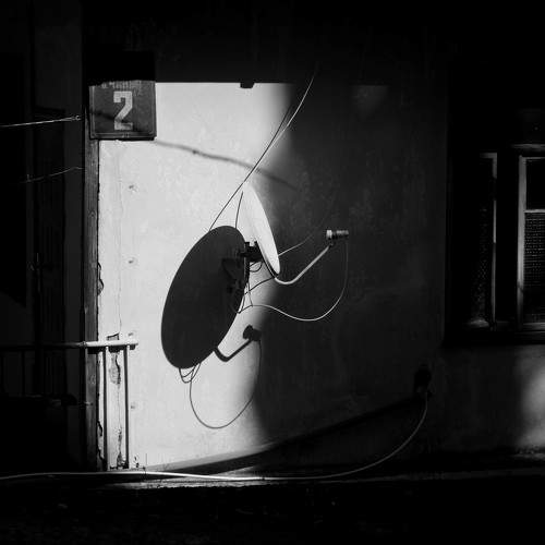 Photo #10981626