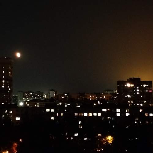 Photo #10981642