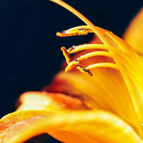 Photo #10981724