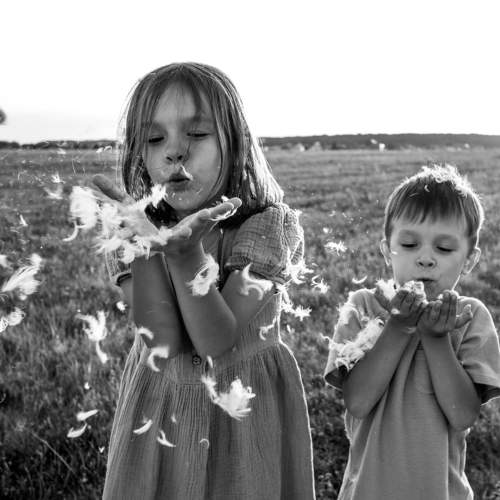 Photo #10981888