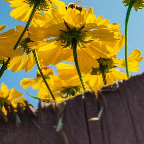 Photo #10982390