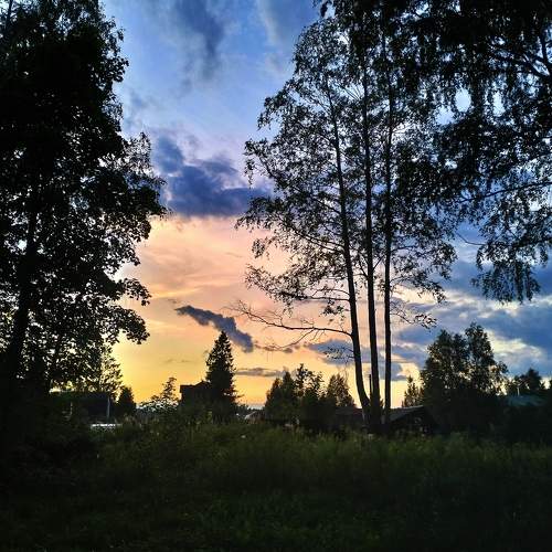 Photo #10983121