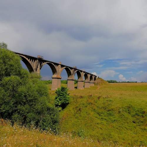 Photo #10983478