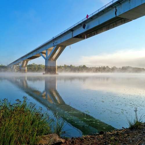 Photo #10983484