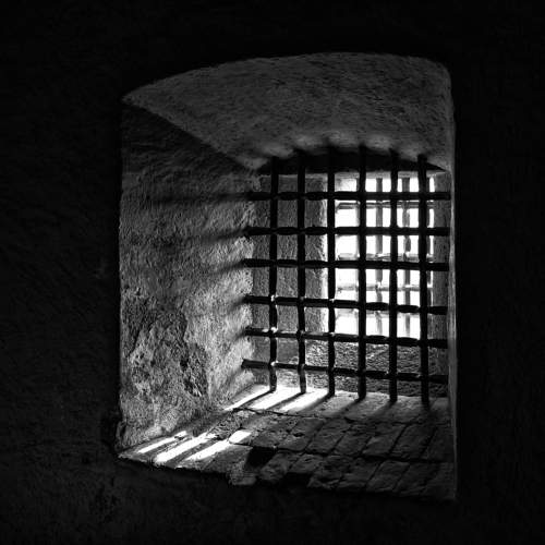 Фотография #10983595