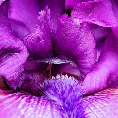 Photo #10983675