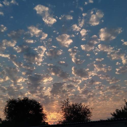 Photo #10983709