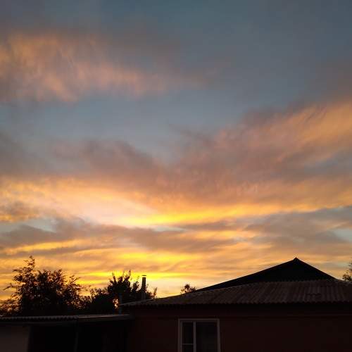 Photo #10983744