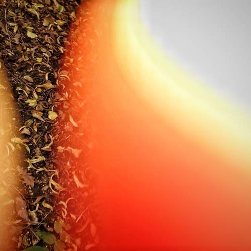 Photo #10983997