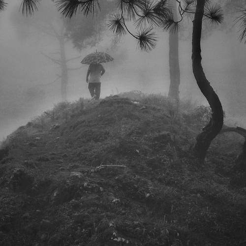 Photo #10984602