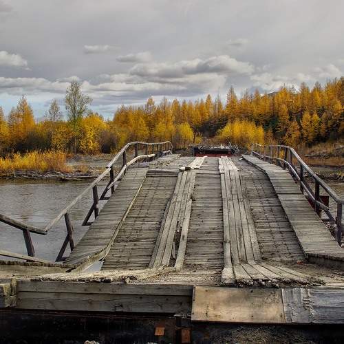 Photo #10984624