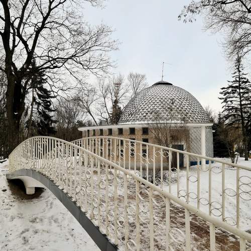 Photo #10984669