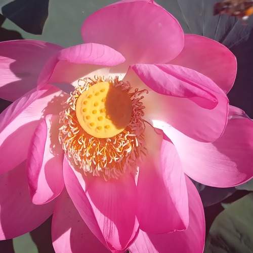 Photo #10985350