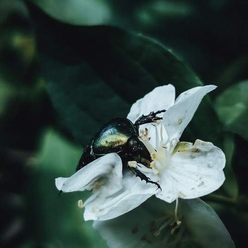 Photo #10985637