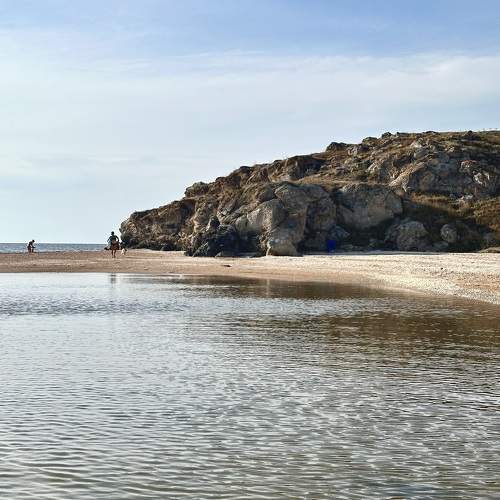 Photo #10985813