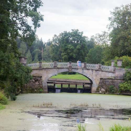 Photo #10986176
