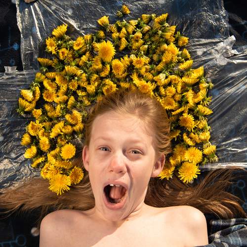 Photo #10986451