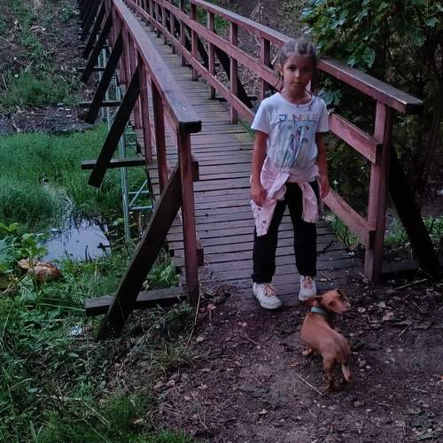 Photo #10986536