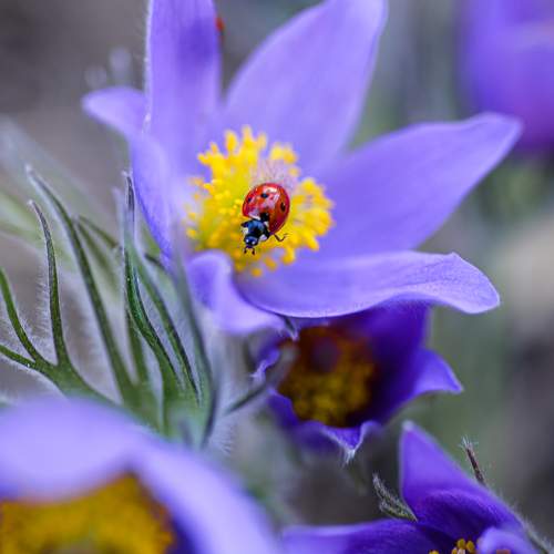 Photo #10986627