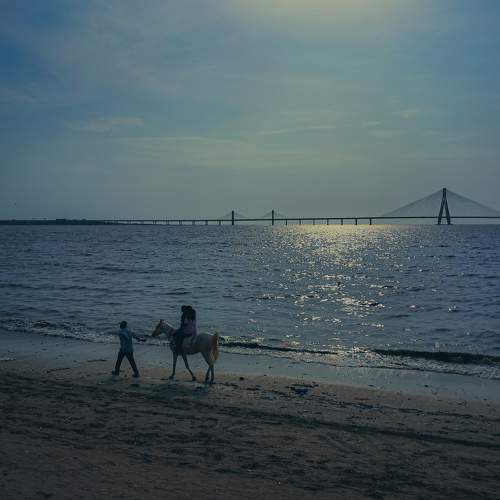 Photo #10986705