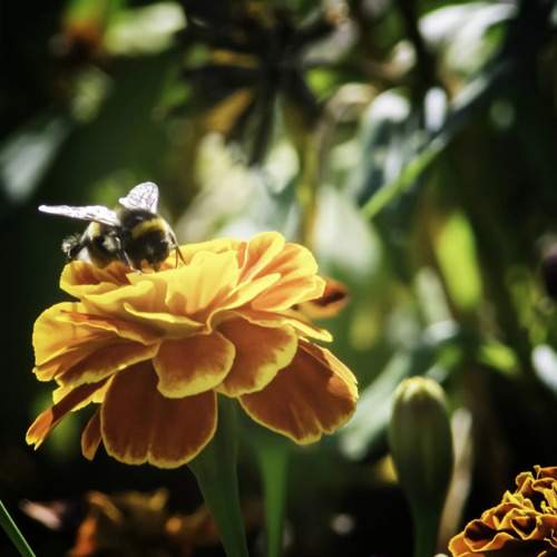 Photo #10986799