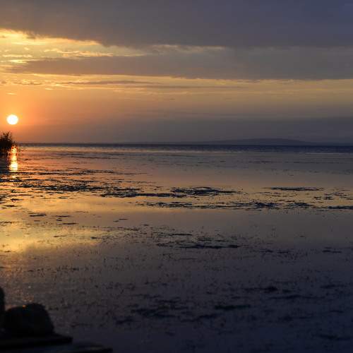 Photo #10987215