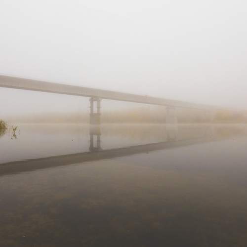 Photo #10987225