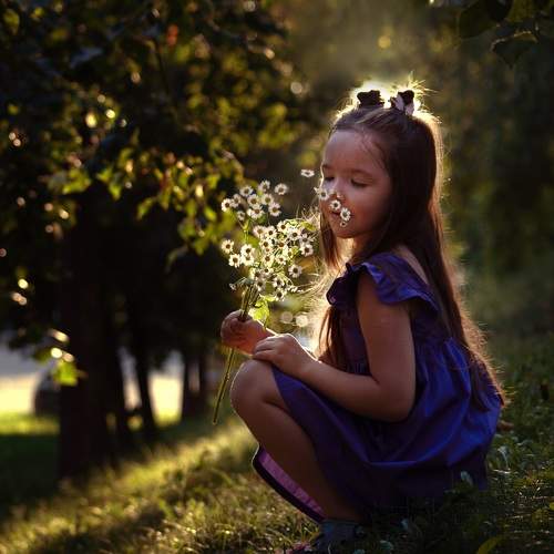 Photo #10987542