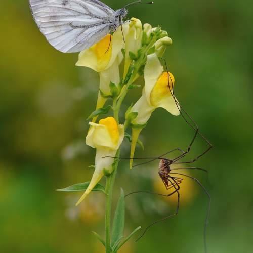 Photo #10987866