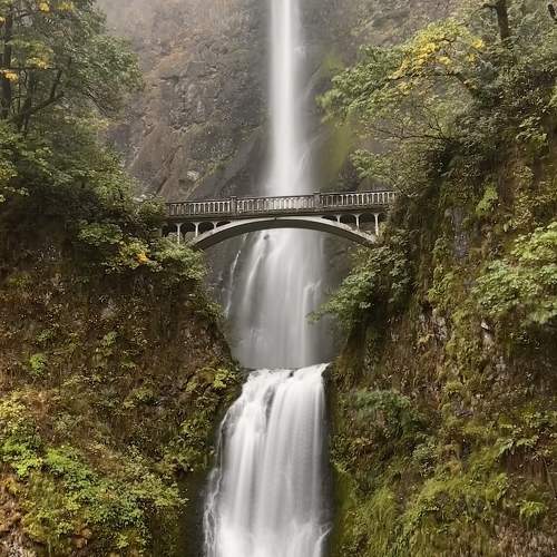 Фотография #10988079