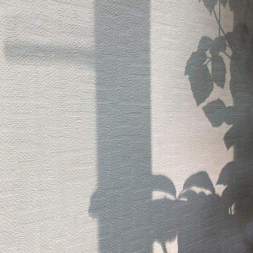 Photo #10988209