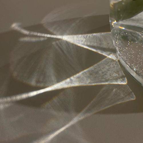 Photo #10988210