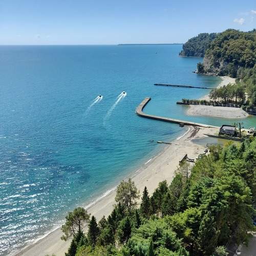 Photo #10988415