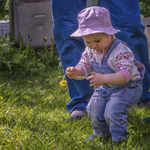 Photo #10988778