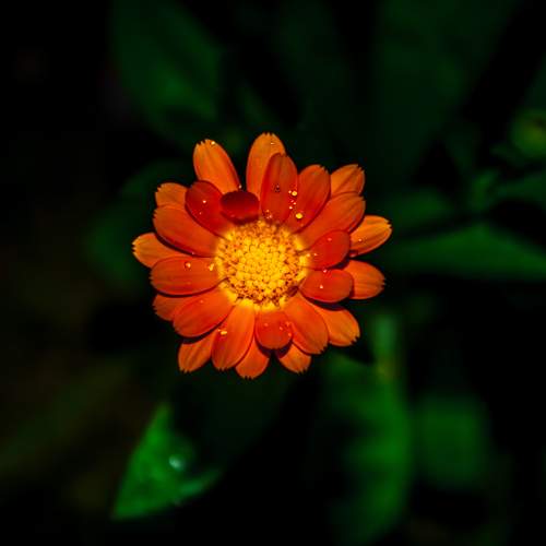Photo #10989663